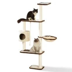Silvio Design Wandkratzbaum Mabel -Geschäft Für Katzenbedarf 47ecdfdc7333891bfc5df60aa17843d799dacec8 c629dbccb785cc1085e82d8b77740587dc8f8196