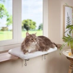 AniOne Fensterliegeplatz -Geschäft Für Katzenbedarf 48b4c875f72788d493de559eab0e5688d72d5fb7 b558c550dc7f6e4c2f13fbb0d43c30b225535e90