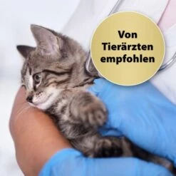 Felisept Home Comfort Beruhigungshalsband Für Katzen 10 Felisept Home Comfort Beruhigungshalsband Für Katzen -Geschäft Für Katzenbedarf 49f63f3eec6617dbc795d98ab15477ddca010d3a 1238279 de DE Felisept 2