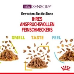 ROYAL CANIN SENSORY Smell In Gelee Für Wählerische Katzen 12x85g 14 ROYAL CANIN SENSORY Smell In Gelee Für Wählerische Katzen 12x85g -Geschäft Für Katzenbedarf 4a632532d23d065e189b82401db5c561b6749e74 bbe7e159ee2cfcc0155771b211da953377ec5c40