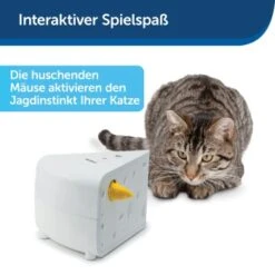 PetSafe Automatisches Katzenspielzeug Cheese -Geschäft Für Katzenbedarf 4bf213762b84458348ad4dde222bccd0d8e6f0a8 1418723 de DE 66b781419c3a9a05dbaecf1b142c67f8ea6f21fbRLCfdd