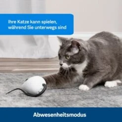 PetSafe Automatisches Katzenspielzeug RoloRat -Geschäft Für Katzenbedarf 4e48313abe110e77b48862456b3054c8cbc622dd 1351522 de DE cc35ab35cec54291341f643ff079f60e72f56895BvuHXl