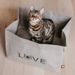 Canadian Cat Company Katzenbett Winnipeg 16 Canadian Cat Company Katzenbett Winnipeg -Geschäft Für Katzenbedarf 4f163c23f3c00759be25633fb22100eb50b10eed 1360995 de DE e27163ea0c21fd571c9e22268b69a4d1b68affe5UBt2yy