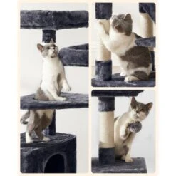 FEANDREA Katzenbaum 142cm Hellgrau Dunkelgrau 18 FEANDREA Katzenbaum 142cm Hellgrau Dunkelgrau -Geschäft Für Katzenbedarf 5071281c5c78d6bb9462bee7f019c08f31cc23a6 1483569 de DE c7b97977490699e7b523c9b7a192ab5b0704d433CGxWn2