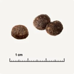 REAL NATURE WILDERNESS Adult Mixpaket Mixpaket 1, Mix-Pack 11 REAL NATURE WILDERNESS Adult Mixpaket Mixpaket 1, Mix-Pack -Geschäft Für Katzenbedarf 527b332672eded50c4dcdddaa1a4892456641e77 1267097 de DE 6 truecountry 1173938002