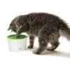 Catit Senses 2.0 Multi Feeder -Geschäft Für Katzenbedarf 547bd9596ba316af5f1293adb362a6f414f6918a c99ffce58b5cdbc39c3da5eb49060cda70e248ed