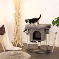 Lionto Kratzbaum 60 Cm Dunkelgrau 11 Lionto Kratzbaum 60 Cm Dunkelgrau -Geschäft Für Katzenbedarf 54d2a2b2f0f85b4c59d70d90b3af4b4a58719f22 1657014 de DE 61b72444bd03e0597d0ec1256f587f38f03d3f6dXYdqkl