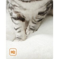 FEANDREA Kratzbaum 86cm Vintagebraun Dunkelgrau -Geschäft Für Katzenbedarf 59c8f7dbe684955dce05fd55642a4efbe0124a91 1483574 de DE cb5b6b9bf568cfcabae2338f3d74a869baf9bd1cxK0b3y