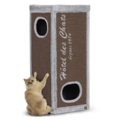 Europet Bernina Europet Kratztonne Rockefeller 50 Cm, 50 Cm, 90 Cm 13 Europet Bernina Europet Kratztonne Rockefeller 50 Cm, 50 Cm, 90 Cm -Geschäft Für Katzenbedarf 5beca9afecc0b236f2fda82bf7d73b1fd0801ab1 b02f63b3e1c920c93bb6a10b2df020ae4e8491fa