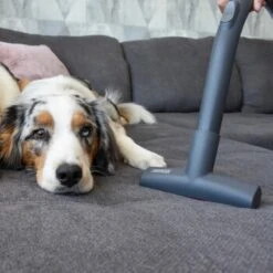 THOMAS Perfect Air Animal Pure 15 THOMAS Perfect Air Animal Pure -Geschäft Für Katzenbedarf 603137fb8b3080096fe34bb0ce0b35713a0081ec 1406731 de DE 61ffd08a4c243aaa506c87a5b11107f7ffeaf308tEO6cw