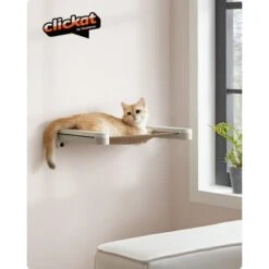 FEANDREA Clickat Katzenmöbel 3er Set, Für Die Wand 14 FEANDREA Clickat Katzenmöbel 3er Set, Für Die Wand -Geschäft Für Katzenbedarf 60f69f4a642f0d59e84f4714b442d728b55f724b 1681459 de DE a39910e1400039cebe0247b4991dedcb1a62d9ddWMEogu