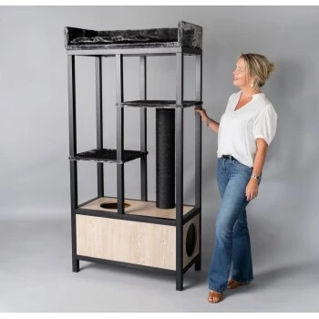 RHR Quality RHRQuality Maine Coon Feline Elite 190 Anthrazit/ Schwarz 6 RHR Quality RHRQuality Maine Coon Feline Elite 190 Anthrazit/ Schwarz – Bild 4