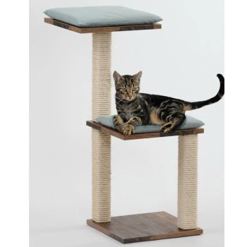 Silvio Design Katzenbaum Jaimie 4 Silvio Design Katzenbaum Jaimie – Bild 2