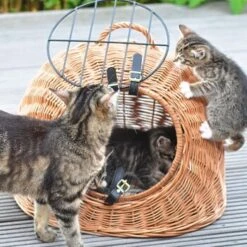 Aumüller Rattanhöhle Gesottene Weide 8 Aumüller Rattanhöhle Gesottene Weide -Geschäft Für Katzenbedarf 644da56b8da52f185185b101fb3460690748ee17 ed38553d0e52453b951e62f08b371eb8a64cf3ed