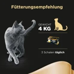 Sheba Selection In Sauce 32x85g -Geschäft Für Katzenbedarf 67890fa30c253ae14afae90d7afce36bf2d4bf55 f3d10d4a2b41518df483944aaa4f3a790f15504c