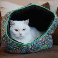 Canadian Cat Company Katzentunnel COSMO M -Geschäft Für Katzenbedarf 67f448259cbca2b76f0f056d6321e3f462cbbfb2 1412665 de DE 5bb2b25340ddb934c05b11da4b3410ce26fcf1f8fEc8B6