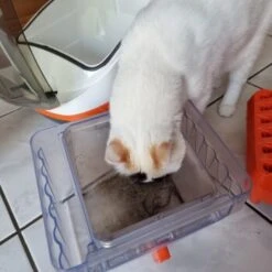 THOMAS Staubsauger -Geschäft Für Katzenbedarf 6a70c632a0bab42059bec4b43d139a5d2e40f9ae 1406733 de DE e7e44b3ec14bf6f4d989c5887e4e07bdd5895c48xakBwm