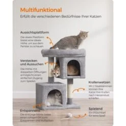 FEANDREA Kratzbaum 74 Cm Hellgrau 14 FEANDREA Kratzbaum 74 Cm Hellgrau -Geschäft Für Katzenbedarf 6b97843572093c1abf6df27887b79e1f6dda7640 1651639 de DE 7ef1def39d882064c411a87ef256c77eb2681960EcExHD