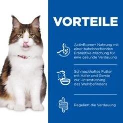 Neu eingetroffen -Geschäft Für Katzenbedarf 6c4d856ad122ec5b63eaa934a8b5ebf0c0b4d341 52742047867 4