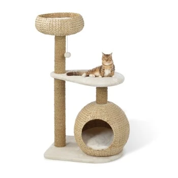 AniOne Kratzbaum Saki 3 AniOne Kratzbaum Saki