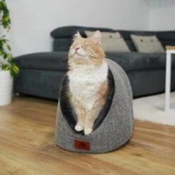 Schlitzohr Katzenhöhle Oskar Grau -Geschäft Für Katzenbedarf 6dc322d0c0c691311c750126461acbb0bfd7f106 1484676 de DE cf48f7f4d140da3e59fb3189e3029debd29d4937tKSJNT