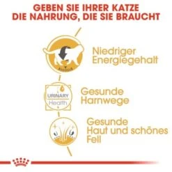 ROYAL CANIN British Shorthair 12x85g 13 ROYAL CANIN British Shorthair 12x85g -Geschäft Für Katzenbedarf 6f1dc92b9b52a43d2267d34aab253596e7be143a 7f0fd40bf73b9dd0972df6cd9651a951bdb28212