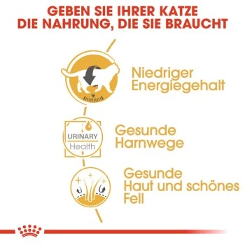 ROYAL CANIN British Shorthair 12x85g 8 ROYAL CANIN British Shorthair 12x85g – Bild 6