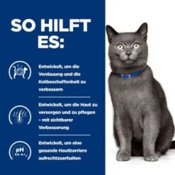 Hill's Prescription Diet D/d Food Sensitivities 3 Kg 14 Hill's Prescription Diet D/d Food Sensitivities 3 Kg -Geschäft Für Katzenbedarf 715c2a71513f1156c0e6f5987afb0d86de83e8ad 52742047584 5