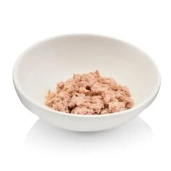 Canadian Cat Company Futterbar Cat Diner -Geschäft Für Katzenbedarf 7374ea0a9e3fe9347681d73e38cfddf88778c4d9 1345694 de DE 736a30d8934edf90c8b01e1b34a29dff5e81dab2o6VK2t