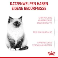 ROYAL CANIN Kitten 4 Kg 14 ROYAL CANIN Kitten 4 Kg -Geschäft Für Katzenbedarf 76c69f287cfbe56e3ecbc6374c1c83282049ff9f 3182550702973 4
