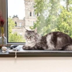 Canadian Cat Company Filzmatte Für Fensterbank Hellgrau S -Geschäft Für Katzenbedarf 7885f06a61233bc404e6a3aa7f8cd882fde8d497 1498575 de DE 613cf8659fcca6edb1e226239a406f420c510b04Tro7m3