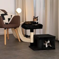 Lionto Kratzbaum 50 Cm Schwarz 10 Lionto Kratzbaum 50 Cm Schwarz -Geschäft Für Katzenbedarf 7a4fdb048438d7541c9e09a10efabe693bc4320b 1657017 de DE 254b7c9c0cfdc7971bd88e8e452f13909c8f2c09Qbu3kJ