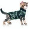 Trovet Katzenbody Recovery Suit XS -Geschäft Für Katzenbedarf 7ad0fffdd76bbebfa8c0171c143c39460980b4a6 a96de6f4538d86c6d97896ea896c78b4dc062293