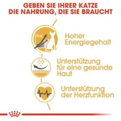 ROYAL CANIN Sphynx Adult 10 Kg -Geschäft Für Katzenbedarf 7ad1bdc3999349cafae1459c3c182b6552d5adfd b7ee4724e59d51ce320d09e32faae7a8df47303e