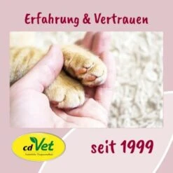 FeliTATZ FellGlanz 11 FeliTATZ FellGlanz -Geschäft Für Katzenbedarf 7b983d72d2823b0db9ac615f4b9eda9a9cc31838 1666313 de DE bfdb4b813f4d094cdfef4c88f0fa4e20008c32c8J2LDce