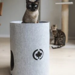 Canadian Cat Company Filzbett Owen-Tower 12 Canadian Cat Company Filzbett Owen-Tower -Geschäft Für Katzenbedarf 7de15b7ab3d0a3da50a54b91f1a6b746b12be302 1394209 de DE 768a45a9be27cfd0fb27e1bf0942b4e67e500c7ee16ity