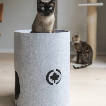 Canadian Cat Company Filzbett Owen-Tower 5 Canadian Cat Company Filzbett Owen-Tower – Bild 3