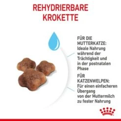 ROYAL CANIN Mother & Babycat 2 Kg -Geschäft Für Katzenbedarf 7de9161ec8af5d8e5fb59d6589cba97c3ecae1bf 3182550707329 5