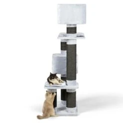 Europet Bernina Europet Kratzbaum Rock Western Inn -Geschäft Für Katzenbedarf 802e316e870abcebeacef3c6b55f8eb7bb851048 ed3375ddca091a08dea4e5397d79e9f0c021fafa