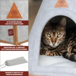 Canadian Cat Company Katzenzelt Cone -Geschäft Für Katzenbedarf 809a3c44a93f6813e3f594a392c884994f2cb8be 1394210 de DE c6578ffbb5eb34e2b0106dd76bcafeaede82606a8Hawov