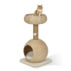 AniOne Kratzbaum Anzo 9 AniOne Kratzbaum Anzo -Geschäft Für Katzenbedarf 8251ae4516bf903fd0d3f9c45aa1bbabf8946a79 e7ecb07cf2644d3862a8042d79dc2f0a59c03802