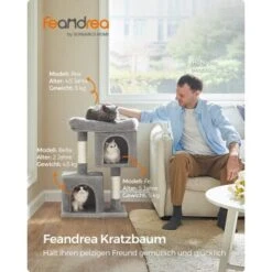 FEANDREA Kratzbaum 74 Cm Hellgrau 12 FEANDREA Kratzbaum 74 Cm Hellgrau -Geschäft Für Katzenbedarf 8418d99103c47a770b9cbde8fd61d0a7f4386dc6 1651639 de DE 09f9e54b265315b875aaca6fe8433b1424d04f2eQJTrPA