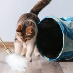 Kater Kasimir Premium Paket Mit 7 Beliebten Katzenspielzeugen Aus Naturmaterial 10 Kater Kasimir Premium Paket Mit 7 Beliebten Katzenspielzeugen Aus Naturmaterial -Geschäft Für Katzenbedarf 84f221d79ef76f1b4f2f0037d329c11c6fce3a33 1408152 de DE 294269527f07b1898ca7562c986e956043828d3cA8xBpO