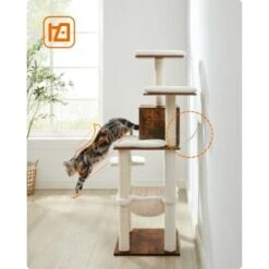 FEANDREA Katzenmöbel 138cm Modern 17 FEANDREA Katzenmöbel 138cm Modern -Geschäft Für Katzenbedarf 8c2937a91841e269fd86007d3e1ceb87f2caf805 1483576 de DE cfd51096659787d7d5b5a912ebaa292dbfb3b9f37NRBqW