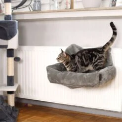 Lionto Katzenbett Für Heizungen Dunkelgrau -Geschäft Für Katzenbedarf 92349d1d2fd4e32f76865505193cf9ee08e13e37 1665987 de DE a0d9dca6edf4833201f07bd00829ef66b5f25150oYmo2E