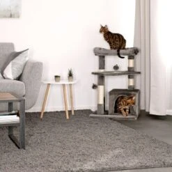 Lionto Kratzbaum, Höhe 75 Cm Dunkelgrau 11 Lionto Kratzbaum, Höhe 75 Cm Dunkelgrau -Geschäft Für Katzenbedarf 93538dd92015274a424fbe418a728d711bf35ee4 1657050 de DE cdf2aedfa5f00533ccf45fdd95fec703142abcfaEAr6hi