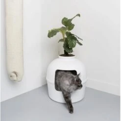 RHR Quality Katzentoilette Flower XXL -Geschäft Für Katzenbedarf 93f503e3b5e2d21cc0461e97d9127562df0337e6 1641853 de DE 1e822790dd4545375dbf65f839e659bd6b299a76bokJue