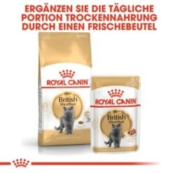 ROYAL CANIN British Shorthair 12x85g 12 ROYAL CANIN British Shorthair 12x85g -Geschäft Für Katzenbedarf 979463e526b8aec711ad3c08fb414444e9d36d40 4c88cd0b2bc9c30f47889b3683ee9f7b75c80663