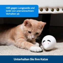 PetSafe Automatisches Katzenspielzeug RoloRat -Geschäft Für Katzenbedarf 97df3eec34472f4ac76f2a0bbe4e75fdbbe02b64 1351522 de DE 83c2d308e962c4b6c64101ee39311b3a61647f71n2yR1C