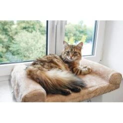 Kerbl Fensterliegebrett -Geschäft Für Katzenbedarf 97f5bb7bf05ee5a806370ba3a815a6c9aa7c2c6a 1084786 1